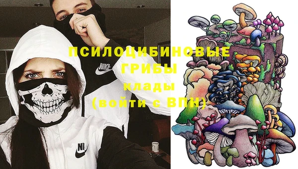 стаф Липки