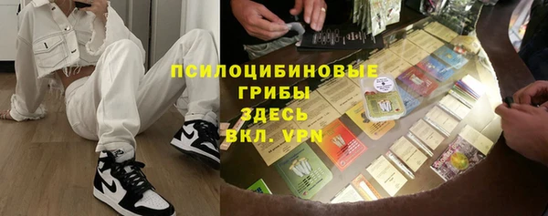 стаф Липки