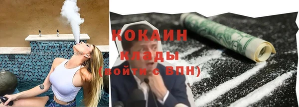 мдпв Дмитриев