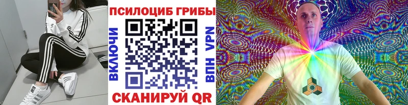 Псилоцибиновые грибы Psilocybe  Заозёрск 